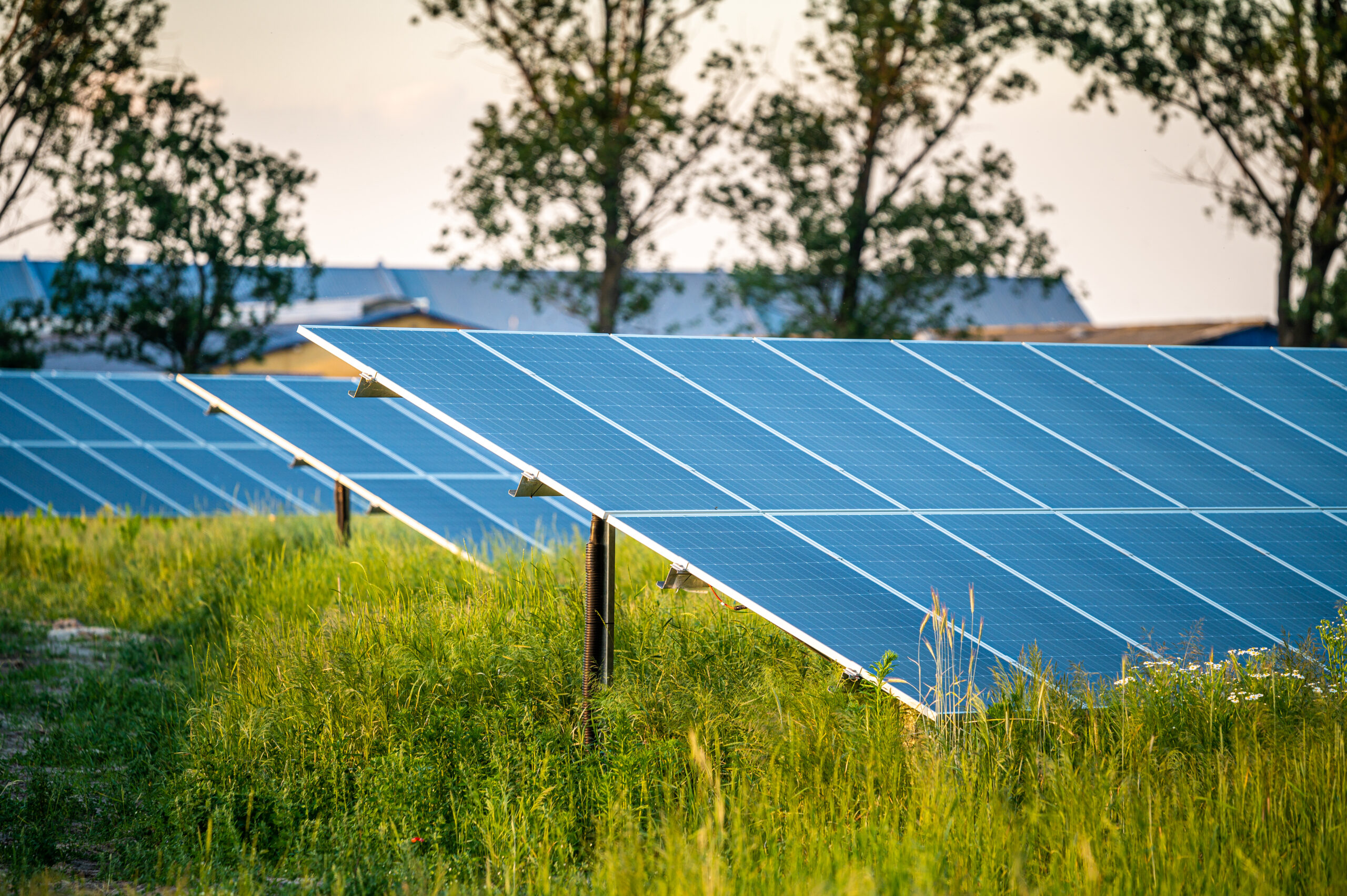 columbus farmy fotowoltaiczne