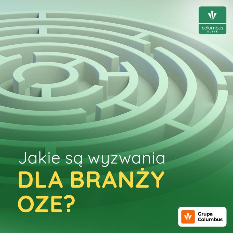 wyzwania dla branży oze w polsce w 2022