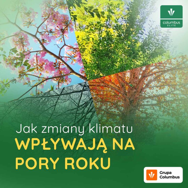 Zmiany klimatu wpływają na pory roku