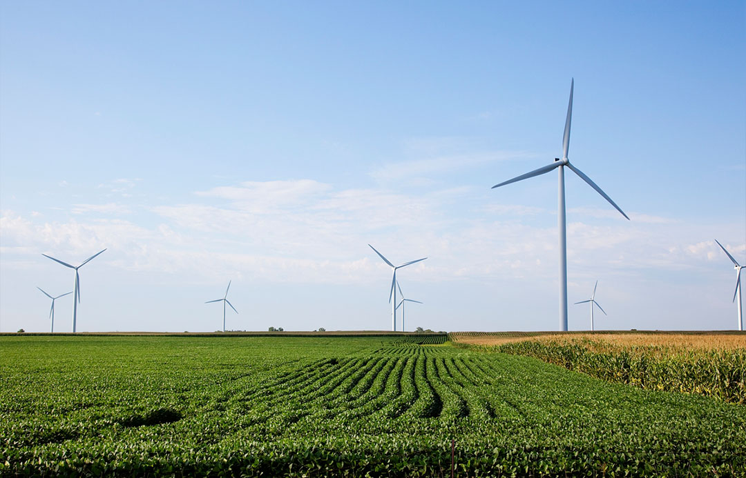 energia wiatrowa OZE columbus elite