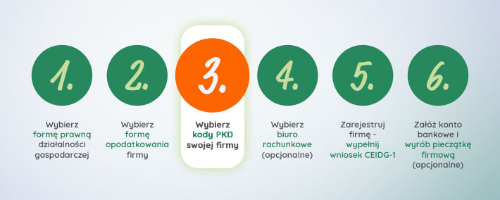 pkd kiedy wybrać kod