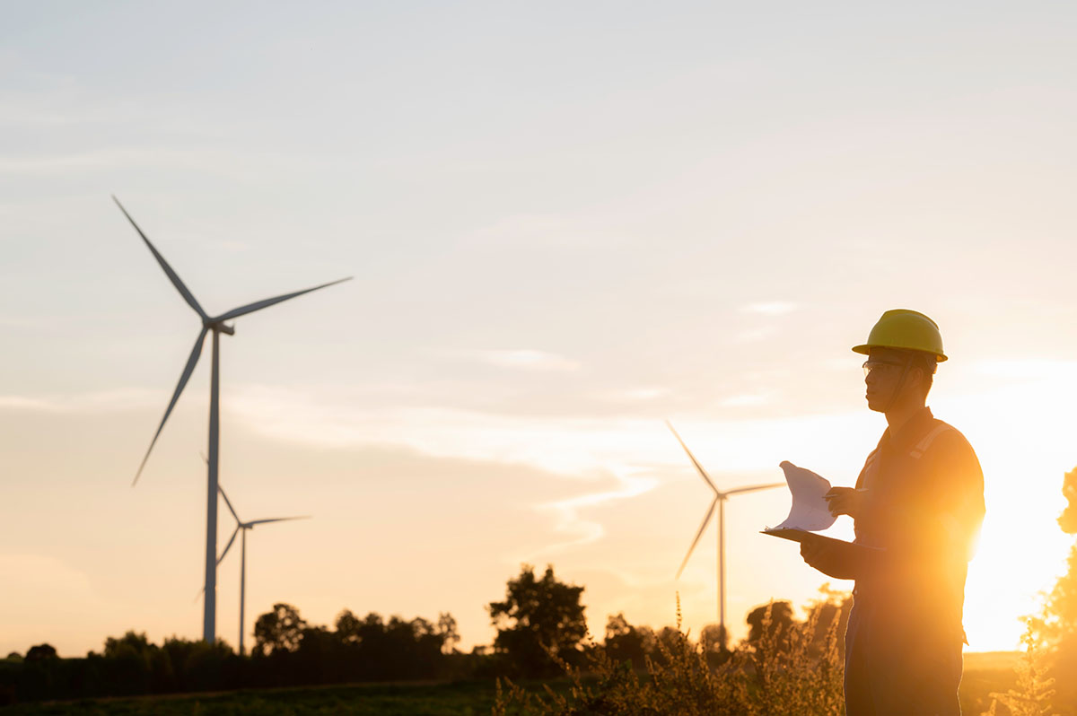 zielone kołnierzyki zielone kołnierzyki