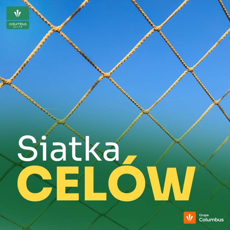 siatka celów